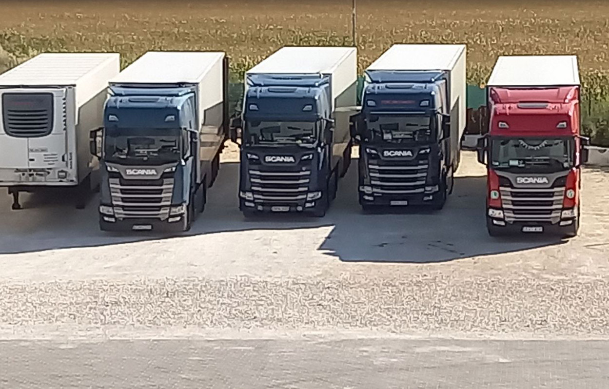logisztika, raktározás, Bérraktározás szállítmányozás, átrakodás, raklap